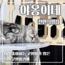 천안배원예농업협동조합(입장) | 두정동고양이카페 추천 25마리 개냥이가 있는 힐링 천안고양이카페 야옹이네 천안직영점