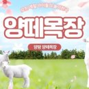 진태목장 이미지
