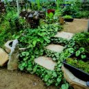 들꽃풍경 이미지