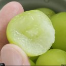 복주농장 이미지