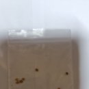 행복을주는사람님, 도착했어요. 이미지