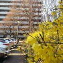 삼덕 공인중개사사무소 이미지