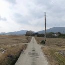 조은날부동산공인중개사사무소 이미지