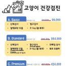 펫스티벌 동물병원 이미지