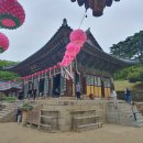 1732 | 보물 제 1563호 대구 동화사 대웅전