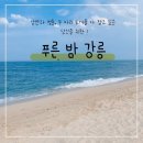 [청춘,여행 일기] 낭만과 청춘, 두 마리 토끼를 다 잡고 싶은 당신을 위한 강릉여행
