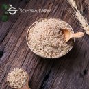 구성농장 이미지