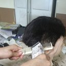 우리 가족 헤어 컷 이미지