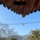 내장산한옥펜션 네이버블로그