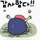 두드림 이미지