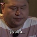 토마토의농비어천가 이미지