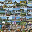 2025고양국제꽃박람회를 다녀와서 이미지