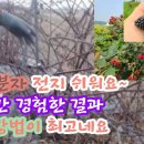 고창상희팜푸드영농조합법인