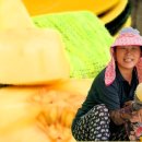 황금뜰농장 이미지