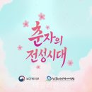 춘자의 전성시대