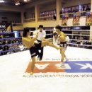 굿뉴스피플 초대석＞한국킥복싱협회 송칠석 회장 이미지