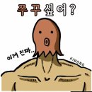 337쭈꾸미 이미지