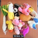 왕성세탁 이미지