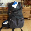 스콜피언 이미지