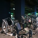 에스휘트니스 이미지