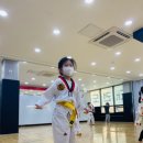 경희대 국가대표 형제 태권도 이미지