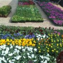 수림꽃농원 이미지