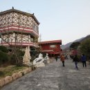 매화랜드 이미지