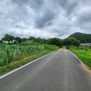 정안면사무소3 이미지