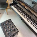 트로이메라이 연주회 이미지