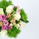 (주)핸드스튜디오 이미지