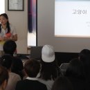 중앙애견미용 이미지