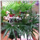 기원약국 이미지