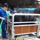 경기도축산진흥센터 이미지