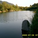 신장소류지 이미지