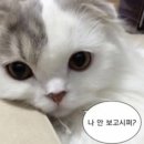 장승포게스트하우스 | [제주도 한달살기]진짜 찐 후기 5탄-게스트하우스 ssul/제주물놀이추천/황우지선녀탕/돈내코원앙폭포