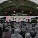 Re: Re: 제52회 강진청자축제 (1) 이미지