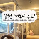 머물다 주도 이미지