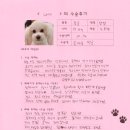 1268 | [#1268] 나니(양측 슬개골탈구 G2, G3)의 수술후기