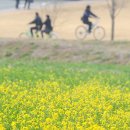 국토종주자전거길1-29 이미지