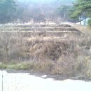 김순기농장 이미지