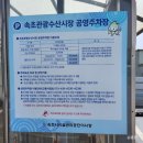 속초 중앙시장 맛집 현태네튀김 솔직후기 주차 정보