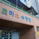 더로하스 티스토리