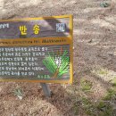 청남대사우나 이미지