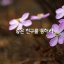 좋은친구미용실
