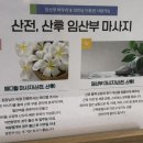 [낙성대역 마사지] 국가공인 '관악보건지압마사지안마원' 방문 후기 (서울 관악구 봉천동) | 힐링하트 추천