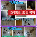 일광ZONE 이미지