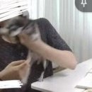 해조잡탕 이미지