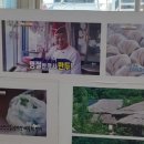 창대분식