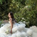 캉캉 | [wedding 26] 웨딩촬영 리안마리 캉캉 드레스 후기