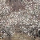 덕계유통